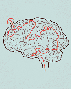 Illustration af en hjerne